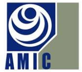 AMIC Logo